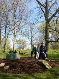 Curt's Memorial Tree