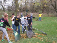 6th Grade Dewitt Football Team